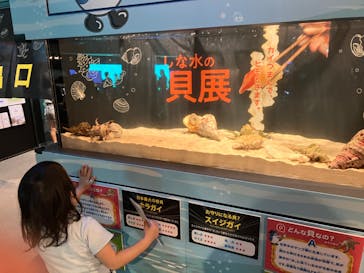 しながわ水族館に投稿された画像（2024/4/29）