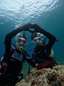 沖縄マリンサービス碧に投稿された画像（2024/4/29）