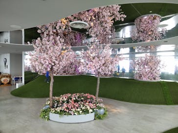 サンシャイン60展望台に投稿された画像（2024/4/29）