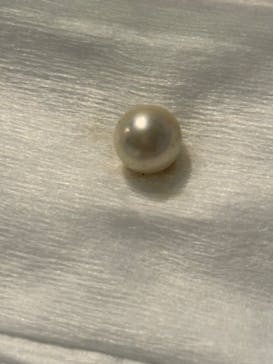 しながわ水族館に投稿された画像（2024/4/29）