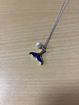 しながわ水族館に投稿された画像（2024/4/29）