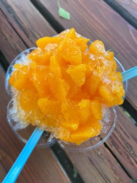 小田原城に投稿された画像（2024/4/29）