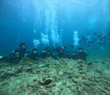 武藤潜水に投稿された画像（2024/4/29）