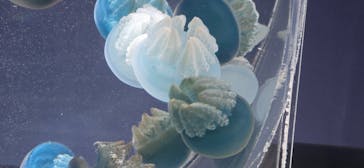 名古屋港水族館に投稿された画像（2024/4/29）