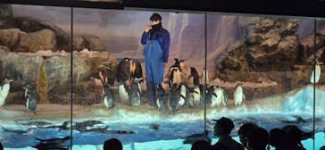 名古屋港水族館に投稿された画像（2024/4/29）