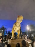 福井県立恐竜博物館に投稿された画像（2024/4/29）