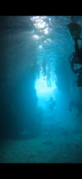 武藤潜水に投稿された画像（2024/4/29）