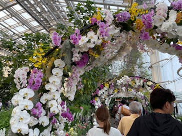 浜名湖花博2024に投稿された画像（2024/4/29）