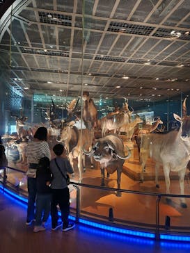 国立科学博物館に投稿された画像（2024/4/29）