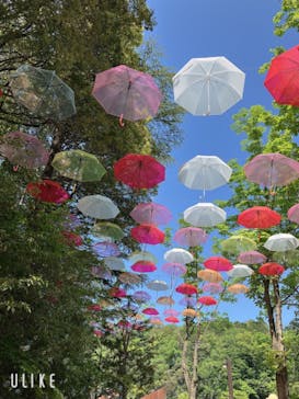 ムーミンバレーパークに投稿された画像（2024/4/29）