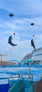 名古屋港水族館に投稿された画像（2024/4/29）