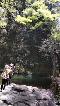 Nabari Experienceに投稿された画像（2024/4/29）