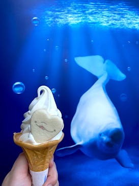 鴨川シーワールドに投稿された画像（2024/4/29）