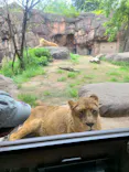 天王寺動物園に投稿された画像（2024/4/29）