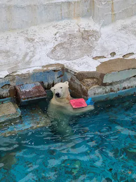 天王寺動物園に投稿された画像（2024/4/29）