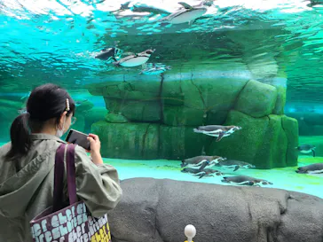 天王寺動物園に投稿された画像（2024/4/29）