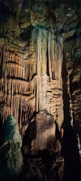 あぶくま洞に投稿された画像（2024/4/29）