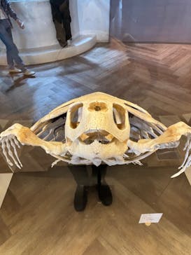 アクアワールド茨城県大洗水族館に投稿された画像（2024/4/29）