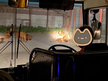 群馬サファリパークに投稿された画像（2024/4/29）