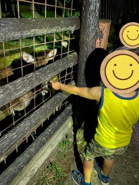 群馬サファリパークに投稿された画像（2024/4/29）