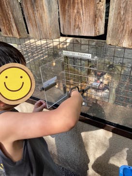 群馬サファリパークに投稿された画像（2024/4/29）