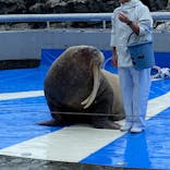 大分マリーンパレス水族館 「うみたまご」に投稿された画像（2024/4/29）