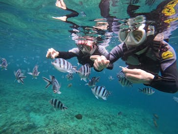 沖縄マリンサービス碧に投稿された画像（2024/4/29）