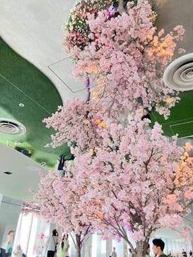 サンシャイン60展望台に投稿された画像（2024/4/29）