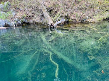 リブパイオニアに投稿された画像（2024/4/29）