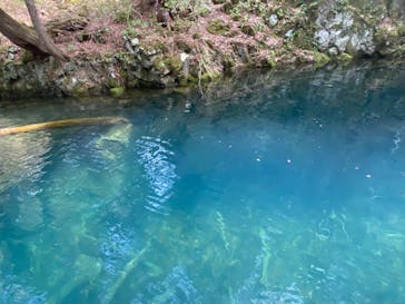 リブパイオニアに投稿された画像（2024/4/29）