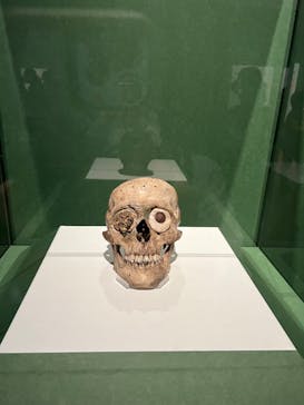 特別展「古代メキシコ ーマヤ、アステカ、テオティワカン」に投稿された画像（2024/4/29）