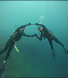 武藤潜水に投稿された画像（2024/4/29）