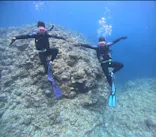 武藤潜水に投稿された画像（2024/4/29）