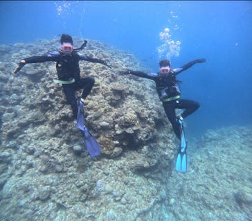武藤潜水に投稿された画像（2024/4/29）