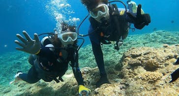 武藤潜水に投稿された画像（2024/4/29）