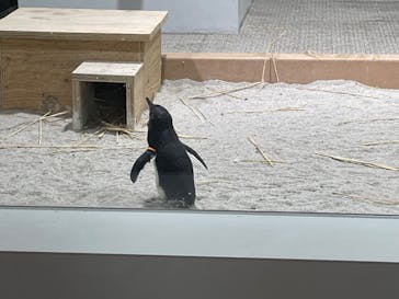 AOAO SAPPOROに投稿された画像（2024/4/29）