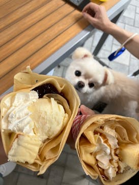 マリオンクレープに投稿された画像（2024/4/29）