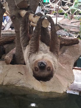 那須どうぶつ王国に投稿された画像（2024/4/29）