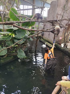 那須どうぶつ王国に投稿された画像（2024/4/29）