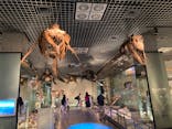 国立科学博物館に投稿された画像（2024/4/29）