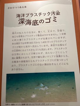 特別展「海　―生命のみなもと―」名古屋市科学館に投稿された画像（2024/4/29）
