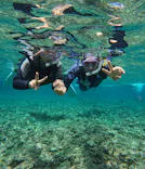 武藤潜水に投稿された画像（2024/4/29）