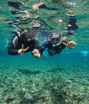 武藤潜水に投稿された画像（2024/4/29）