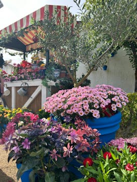 志摩スペイン村パルケエスパーニャに投稿された画像（2024/4/29）