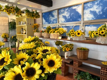 志摩スペイン村パルケエスパーニャに投稿された画像（2024/4/29）