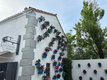 志摩スペイン村パルケエスパーニャに投稿された画像（2024/4/29）