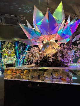 NARA IKIMONO MUSEUMに投稿された画像（2024/4/29）