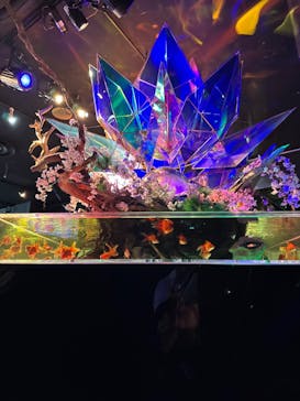 NARA IKIMONO MUSEUMに投稿された画像（2024/4/29）