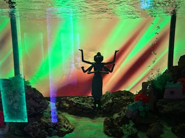 NARA IKIMONO MUSEUMに投稿された画像（2024/4/29）