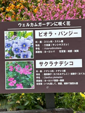 滋賀農業公園ブルーメの丘に投稿された画像（2024/4/29）